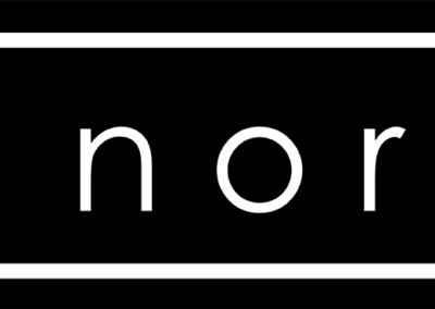 81 north companies logo