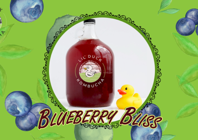 blueberry bliss kombucha social graphic