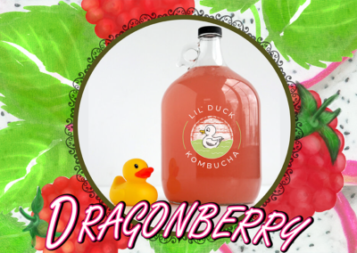 dragonberry flavor kombucha lil duck social graphic