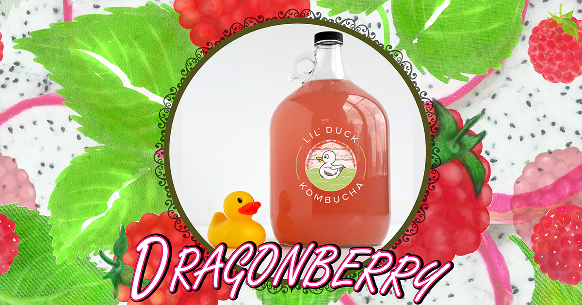 dragonberry flavor kombucha lil duck social graphic