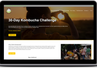 lil duck kombucha homepage website design smb