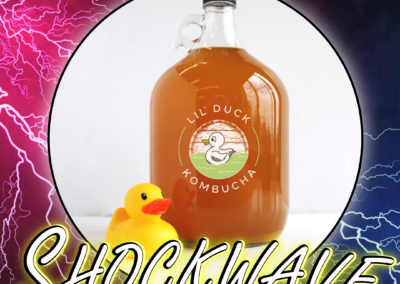 shockwave kombucha social media graphic design