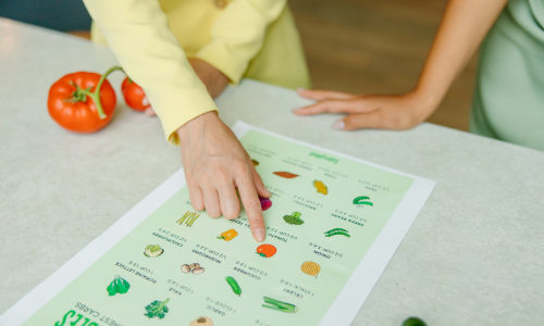 a nutritionist meeting with a client