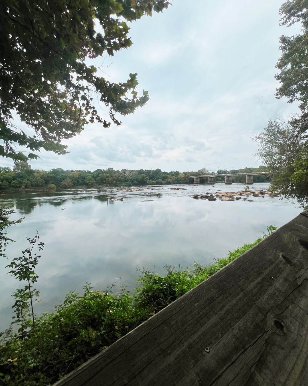 saluda river columbia sc saluda river in columbia sc