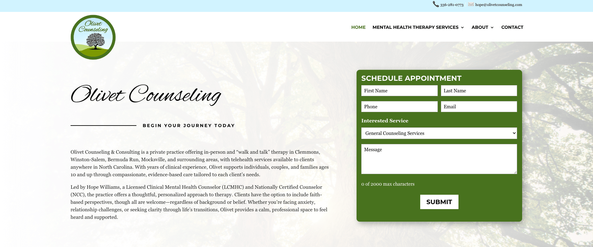 olivet counseling above the fold website design